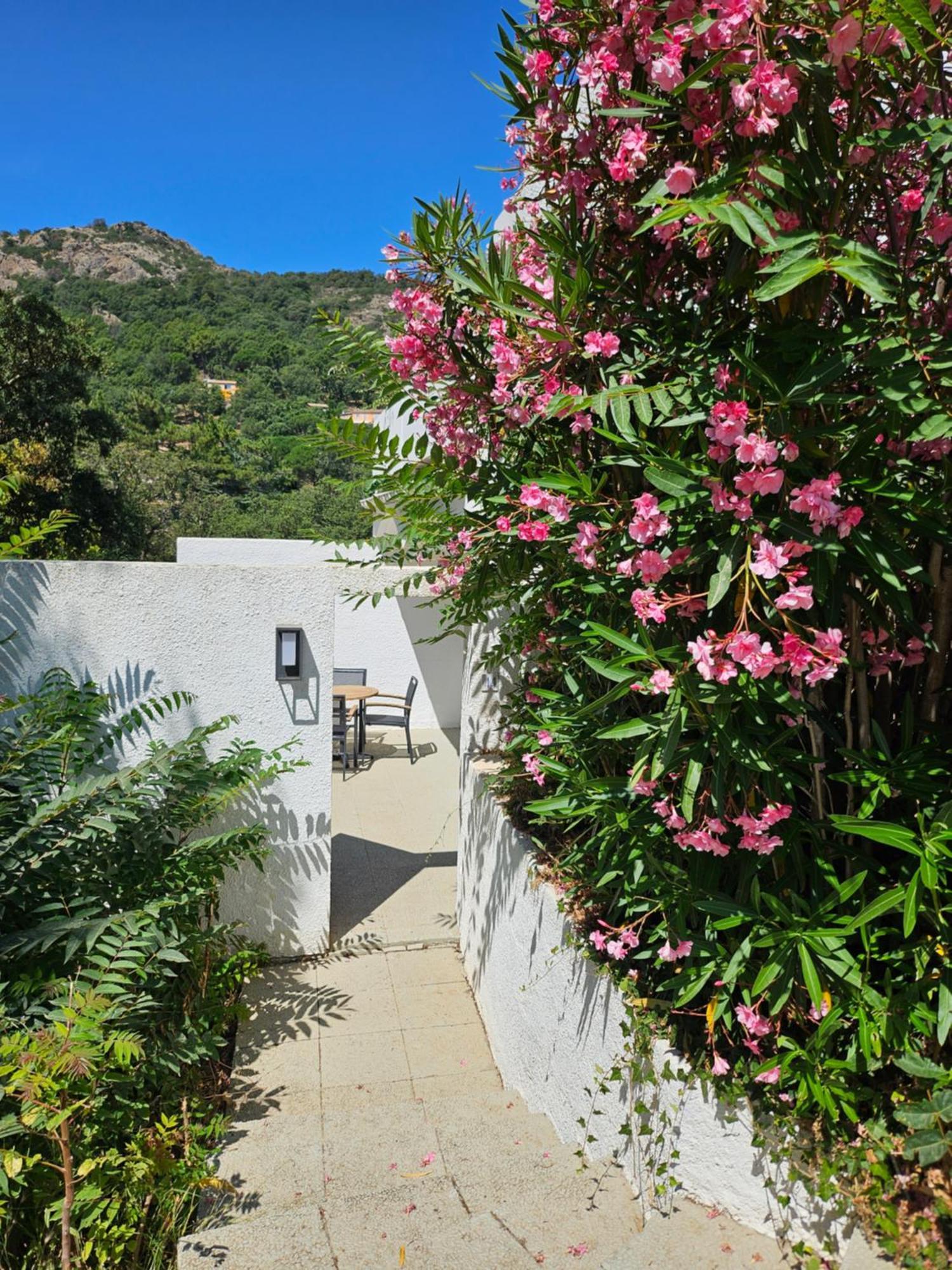 Capsud, La Garde-Freinet Apartamento Exterior foto
